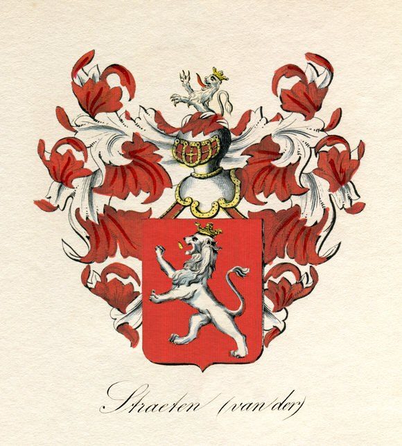 Armes peintes de la famille van der Straeten : lion d'argent couronné d'or sur champ de gueules